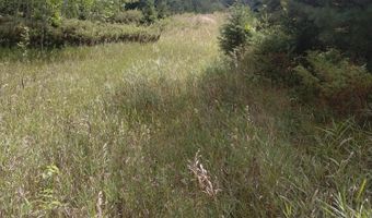 5060 Long Lake Rd, Alpena, MI 49707