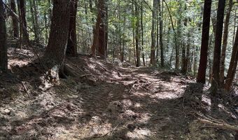 18 6 Acres Cave Branch Rd, Allardt, TN 38504