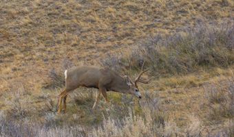TBD Iron Mountain Rd, Chugwater, WY 82210