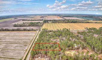 10040 ISAACSON Ave, Hastings, FL 32145