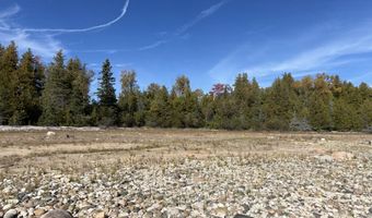 9415 Wreck Rd, Alpena, MI 49707