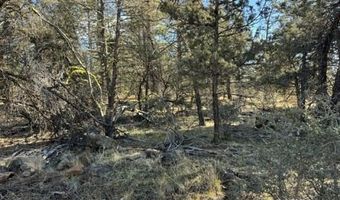 Bunting Drive, Bonanza, OR 97623