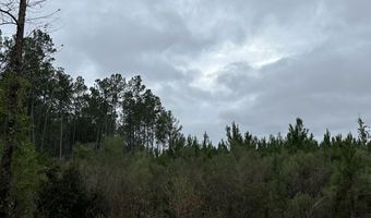 Tract # 6411 S White Road, Chipley, FL 32428
