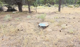 Swan Drive 16 & 17, Bonanza, OR 97623