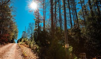 6978 Moontown Dr, Appling, GA 30802