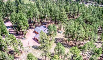 2 County Road N2148, Alpine, AZ 85920