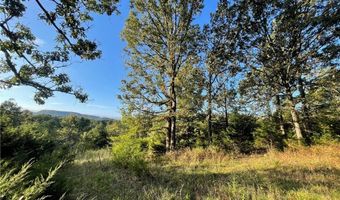 10 Acres CR 9204, Alpena, AR 72611