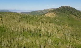40 Acres Summit Mountain Rd, Brian Head, UT 84719