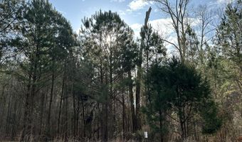 1106 LONGLEAF Way, Lincolnton, GA 30817