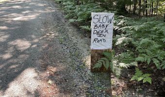 Birch View Drive lot # 0, Albany Twp., ME 04217