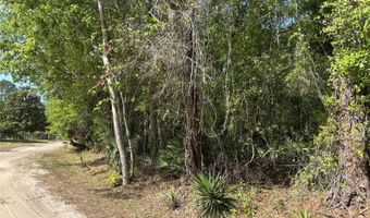 AIRPORT ROAD, Astor, FL 32102
