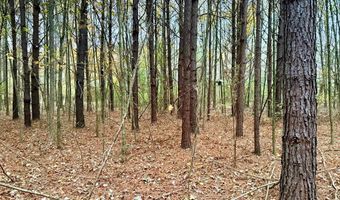 HWY 9, Bruce, MS 38915