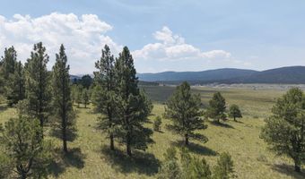 9 Buckskin Rd, Angel Fire, NM 87710