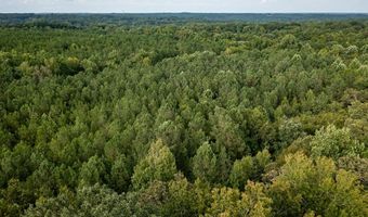 0 Center Dr Carolina Crk, Abbeville, SC 29620