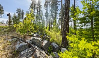 186 Trading Post Trl, Bigfork, MT 59911