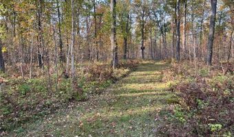 73855 Markville Rd, Arna Twp., MN 55072