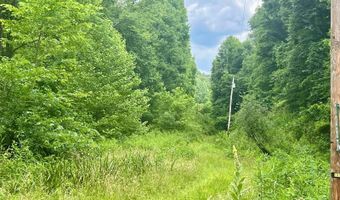1104 1st Creek Rd, Advent, WV 25231