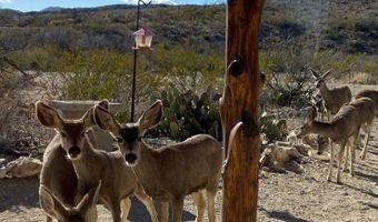 200 Lake Ament Rd, Alpine, TX 79830