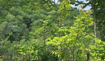 88 Acres Bolden Br, Andrews, NC 28901
