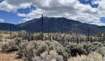45 Las Animas Rd, Arroyo Seco, NM 87514