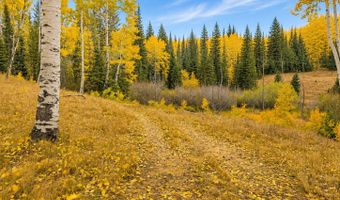 12490 E OLD STAGE Rd, Brighton, UT 84121