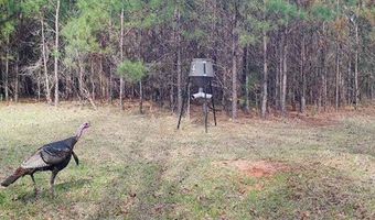 Hwy 131, Baker Hill, AL 36027