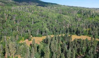 4558 Middle Mountain Rd, Bayfield, CO 81122