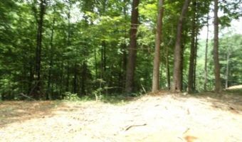 8 63ac Gravely Hill Rd, Bethpage, TN 37022