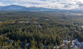 L23 Blk 2 Forest View Recreational Trac, Athol, ID 83801