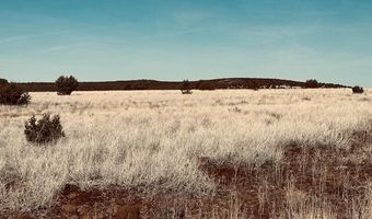 90 B Volcano Trl, Ash Fork, AZ 86320