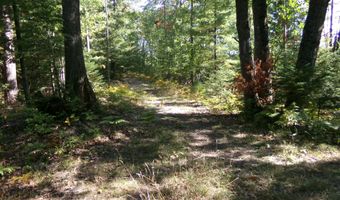 V/L 30AC Lake Winyah Road, Alpena, MI 49707