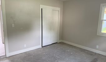1009 N Mingo St, Albion, MI 49224