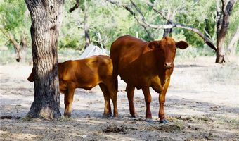 CR 119, Alice, TX 78332