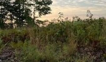 0- Lot 6 Bellview Rd, Appomattox, VA 24522