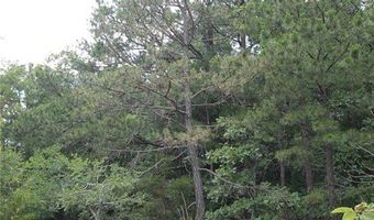 3751 CR 1313 County Road 1313 Crane Lake Rd, Arcadia, MO 63621