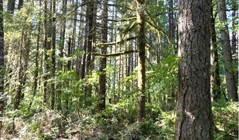 West Tunnel, Banks, OR 97106