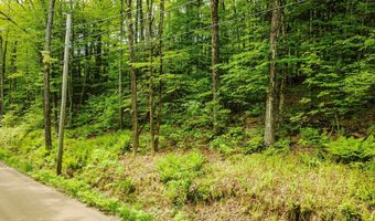 Camp Brook Road lot Map 30 Lot 67, Alstead, NH 03602