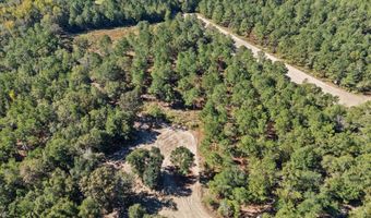 7901 Ashleigh Rd, Blackville, SC 29817