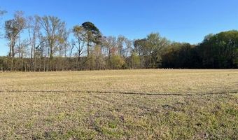 E SHIRE Drive, Berlin, MD 21811