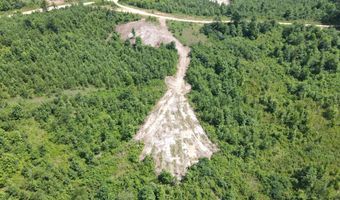 Tract 4 Tucker Rd, Bath Springs, TN 38311