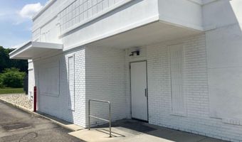 1317 N Eaton St (Vacant Land), Albion, MI 49224