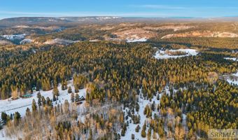 4523 S Elk Loop Rd, Ashton, ID 83420