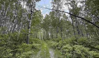 TBD Samuelson Road - Sec 15, Angora, MN 55703