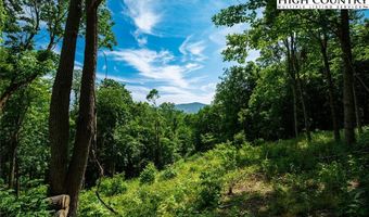 C110 Springwater Lane, Banner Elk, NC 28604