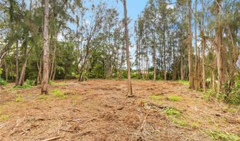 Parcel 49 Alapio Road, Haleiwa, HI 96712