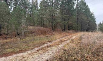 111 Cabarton Rd, Cascade, ID 83611