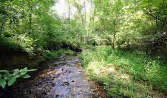 TBA BETTYS BRANCH RD X, Arvonia, VA 23004