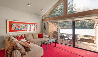 625 S West End St 12, Aspen, CO 81611