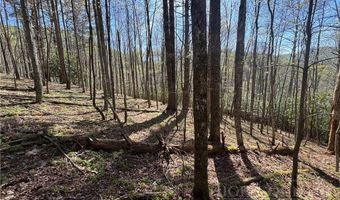 2438 Kellersville Rd, Banner Elk, NC 28604