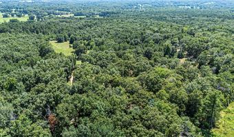 425 Hartwick Ln, Atkins, AR 72823